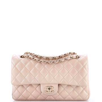 Chanel Classic Double Flap Bag Quilted Iridescent Lambskin Medium