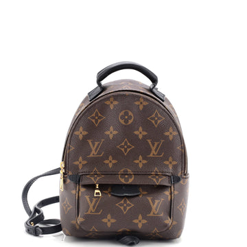 Louis Vuitton Palm Springs Backpack Monogram Canvas Mini