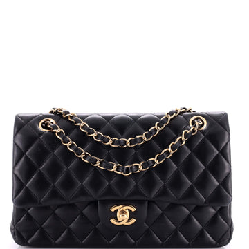 Chanel Classic Double Flap Bag Quilted Lambskin Medium