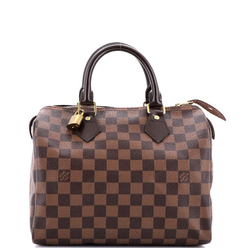 Louis Vuitton Speedy Handbag Damier 25