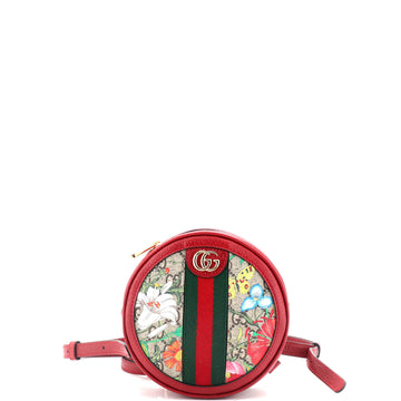 Gucci Ophidia Round Backpack Flora GG Coated Canvas Mini