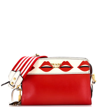 Prada Esplanade Crossbody Bag Printed Saffiano and City Calf Small