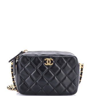 Chanel Pearl Crush Zip Around Vanity Case with Chain Quilted Lambskin Mini