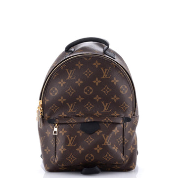 Louis Vuitton Palm Springs Backpack Monogram Canvas PM