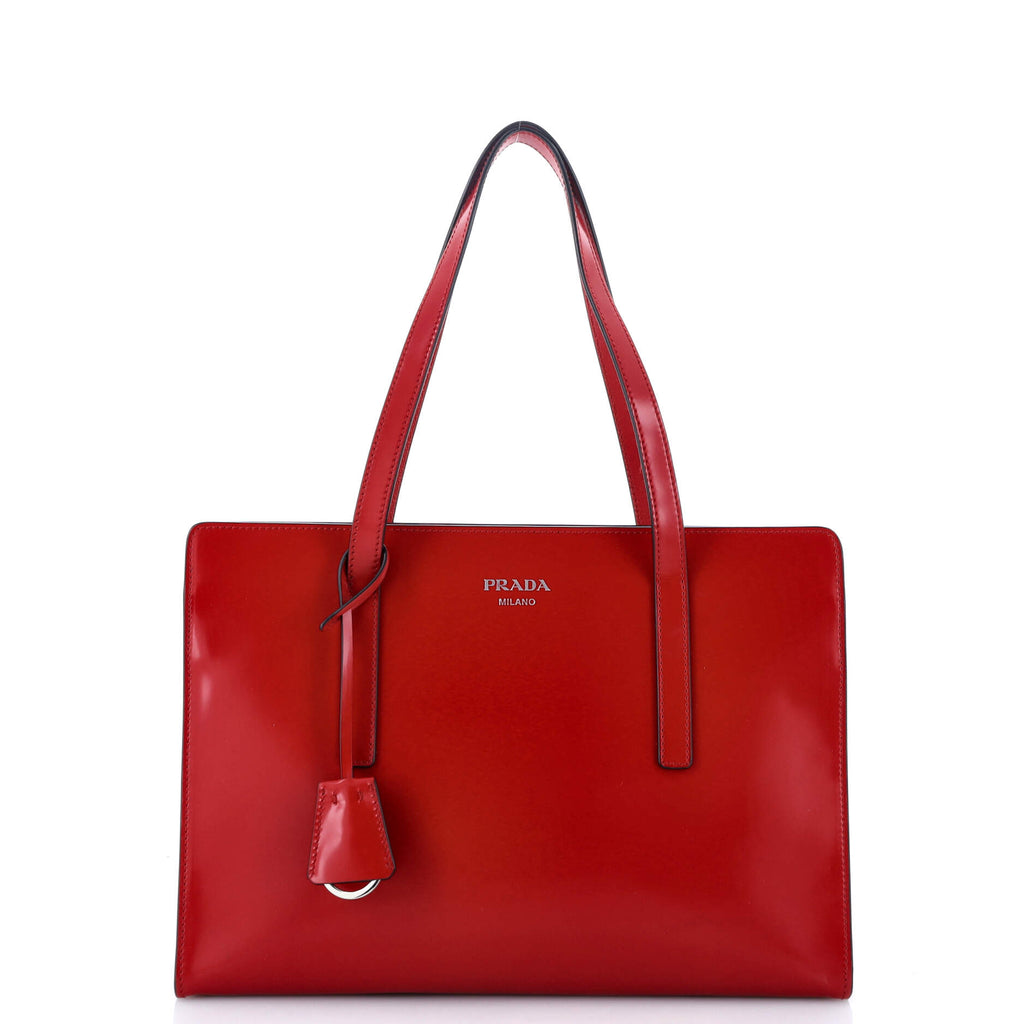 Prada Re-Edition 1995 Top Handle Tote Spazzolato Leather Medium 318958