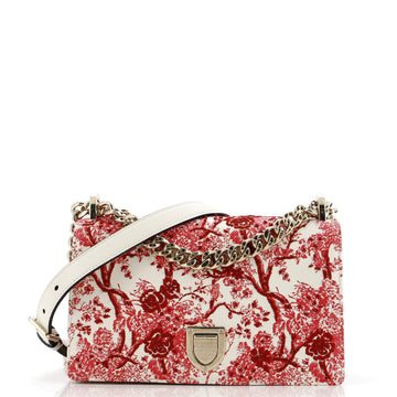 Christian Dior Toile de Jouy Diorama Flap Bag Printed Embroidered Leather Small