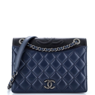 Chanel Ballerine Flap Bag Quilted Lambskin Medium