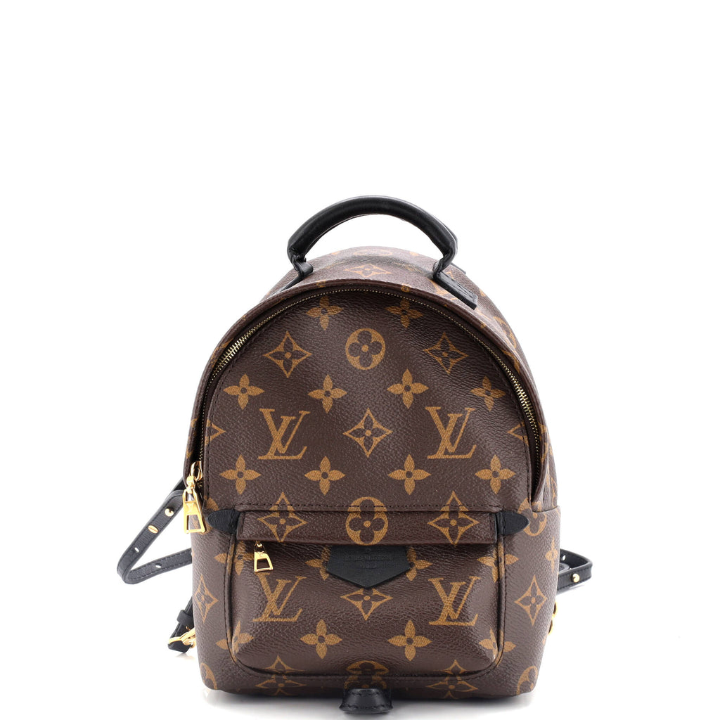 Louis Vuitton Palm Springs Backpack Monogram Canvas Mini Brown 3243141