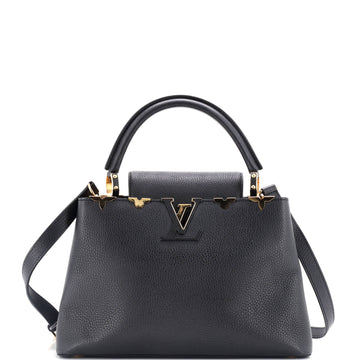 Louis Vuitton Capucines Bag Leather PM