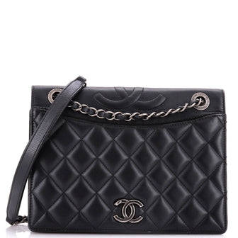Chanel Ballerine Flap Bag Quilted Lambskin Medium