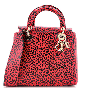 Christian Dior Lady Dior Bag Printed Leather Medium