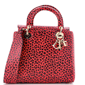 Christian Dior Lady Dior Bag Printed Leather Medium