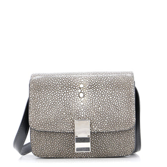Celine Classic Box Bag Stingray Small