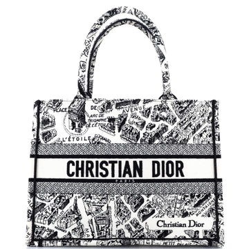 Christian Dior Book Tote Embroidered Canvas Medium