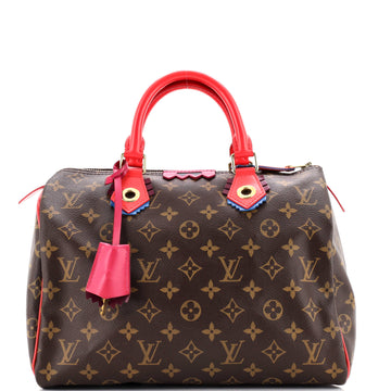 Louis Vuitton Speedy Handbag Limited Edition Totem Monogram Canvas with Leather 30