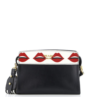 Prada Esplanade Crossbody Bag Printed Saffiano and City Calf Small