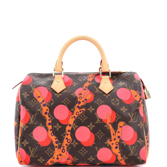 Louis Vuitton Speedy Handbag Limited Edition Monogram Ramages 30