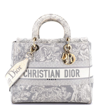 Christian Dior Lady D-Lite Bag Embroidered Canvas Large