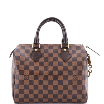 Louis Vuitton Speedy Handbag Damier 25
