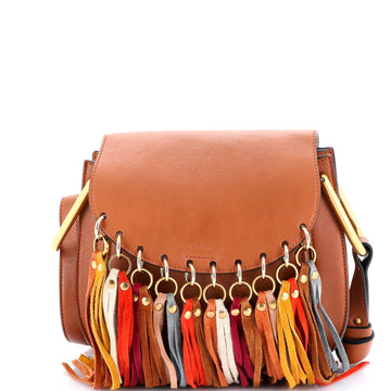 Chloe Multicolor Fringe Hudson Bag Leather Small
