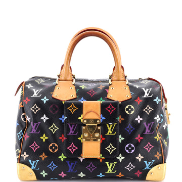 Louis Vuitton Speedy Handbag Monogram Multicolor 30