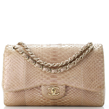 Chanel Classic Double Flap Bag Iridescent Python Medium