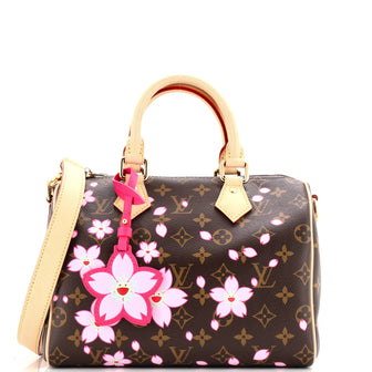 x Takashi Murakami Speedy Soft Bandouliere Bag Monogram Multicolor 25