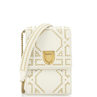 Christian Dior Diorama Vertical Clutch on Chain Studded Leather