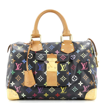 Louis Vuitton Speedy Handbag Monogram Multicolor 30