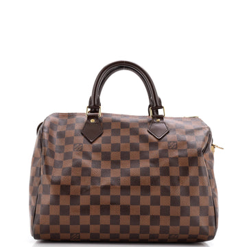 Louis Vuitton Speedy Handbag Damier 30