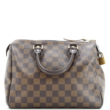 Louis Vuitton Speedy Handbag Damier 25
