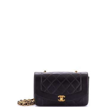 Chanel Vintage Diana Flap Bag Quilted Lambskin Small