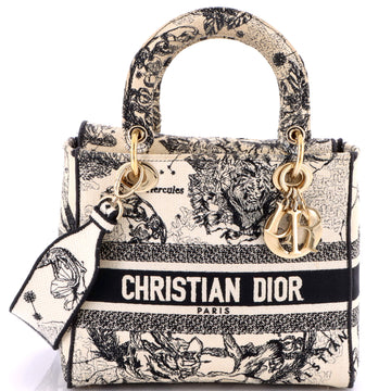 Christian Dior Lady D-Lite Bag Embroidered Canvas Medium
