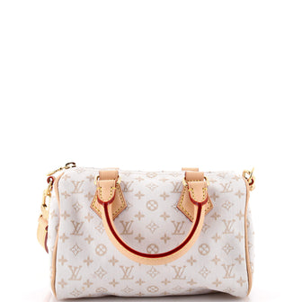 Louis Vuitton Speedy Bandouliere Bag Monogram Jacquard Polyamide 20