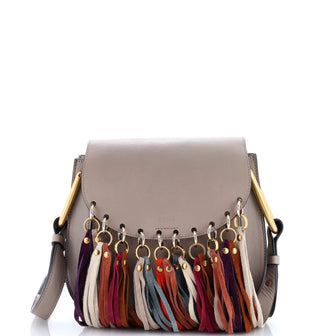 Chloe Multicolor Fringe Hudson Bag Leather Small
