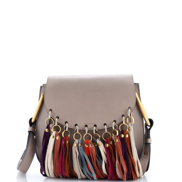 Chloe Multicolor Fringe Hudson Bag Leather Small