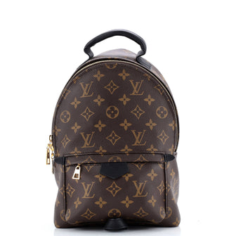 Louis Vuitton Palm Springs Backpack Monogram Canvas PM