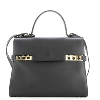 Delvaux Tempete Top Handle Bag Leather GM