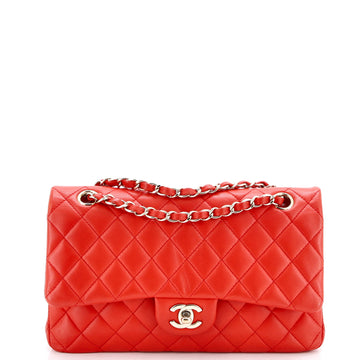 Chanel Classic Double Flap Bag Quilted Lambskin Medium