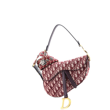 Christian Dior Saddle Handbag Oblique Canvas Medium
