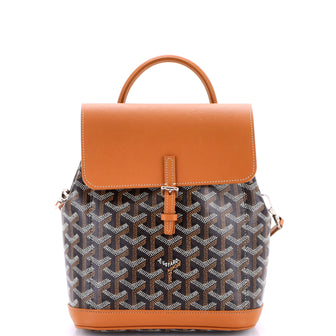 Goyard Alpin Backpack Coated Canvas Mini