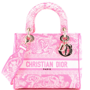 Christian Dior Toile de Jouy Lady D-Lite Bag Embroidered Canvas