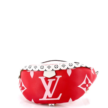 Louis Vuitton Bum Bag Limited Edition Colored Monogram Giant