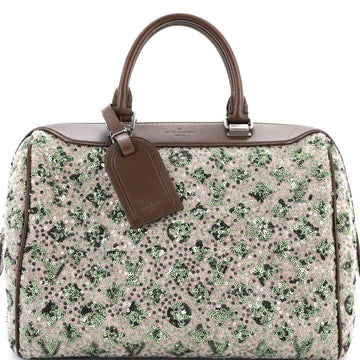 Louis Vuitton Speedy Handbag Limited Edition Sunshine Express 30