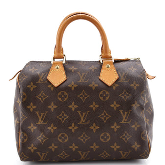 Louis Vuitton Speedy Handbag Monogram Canvas 25