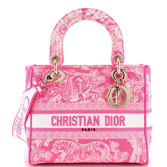Christian Dior Toile de Jouy Lady D-Lite Bag Embroidered Canvas
