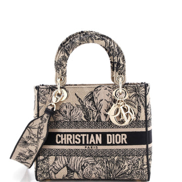 Christian Dior Lady D-Lite Bag Embroidered Canvas Medium