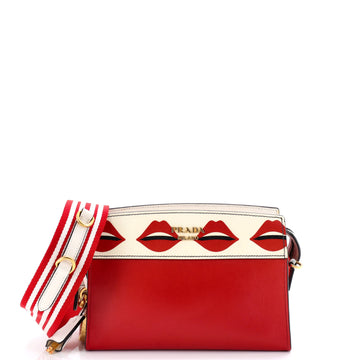 Prada Esplanade Crossbody Bag Printed Saffiano and City Calf Small