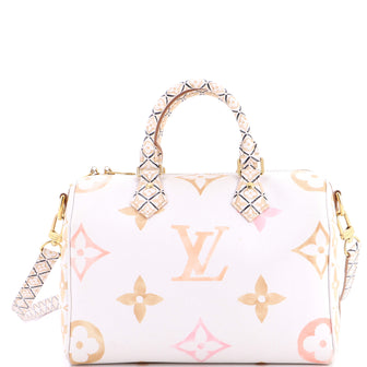 Louis Vuitton Speedy Bandouliere Bag By The Pool Monogram Watercolor Giant 25