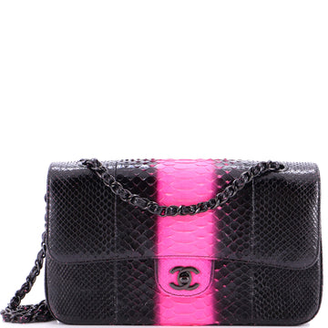 Chanel Classic Double Flap Bag Python Medium